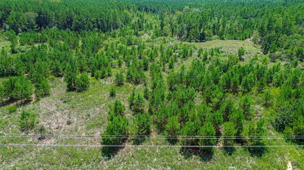 Cherokee Trail Trail Lovelady, TX 75851