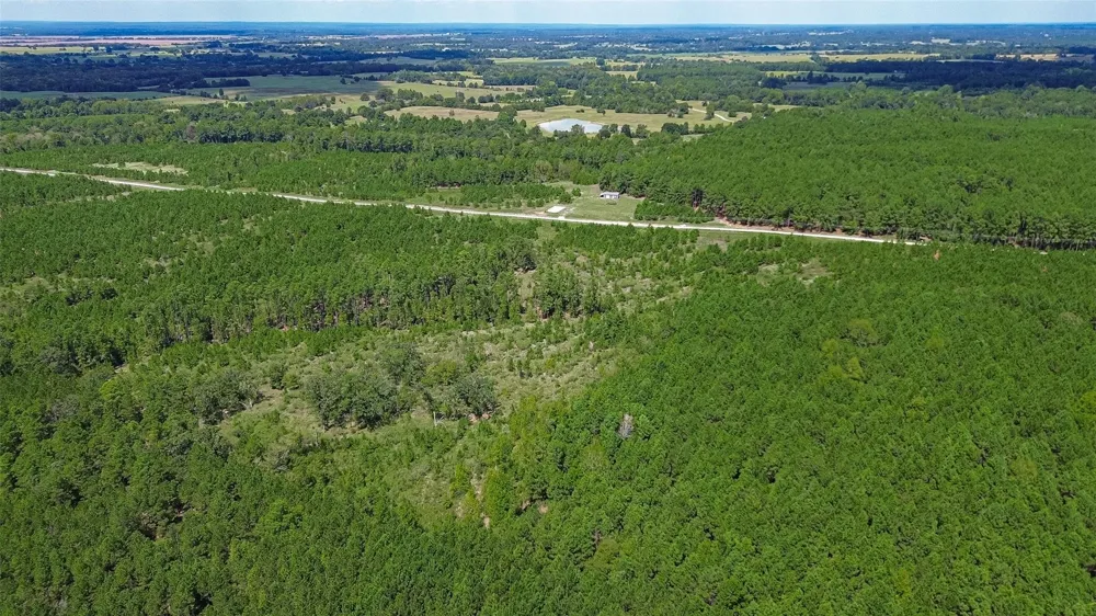 Cherokee Trail Trail Lovelady, TX 75851
