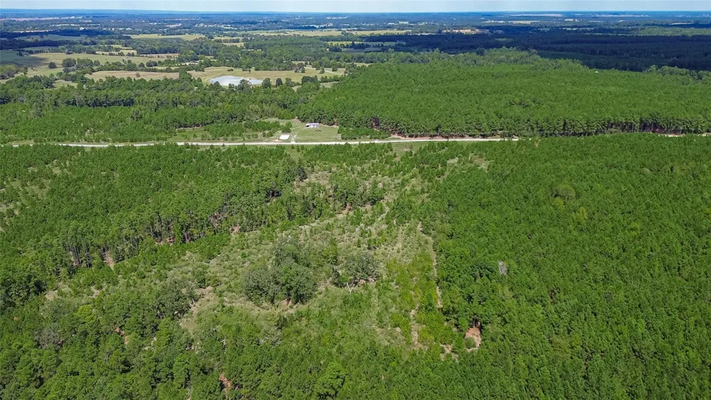 Cherokee Trail Trail Lovelady, TX 75851