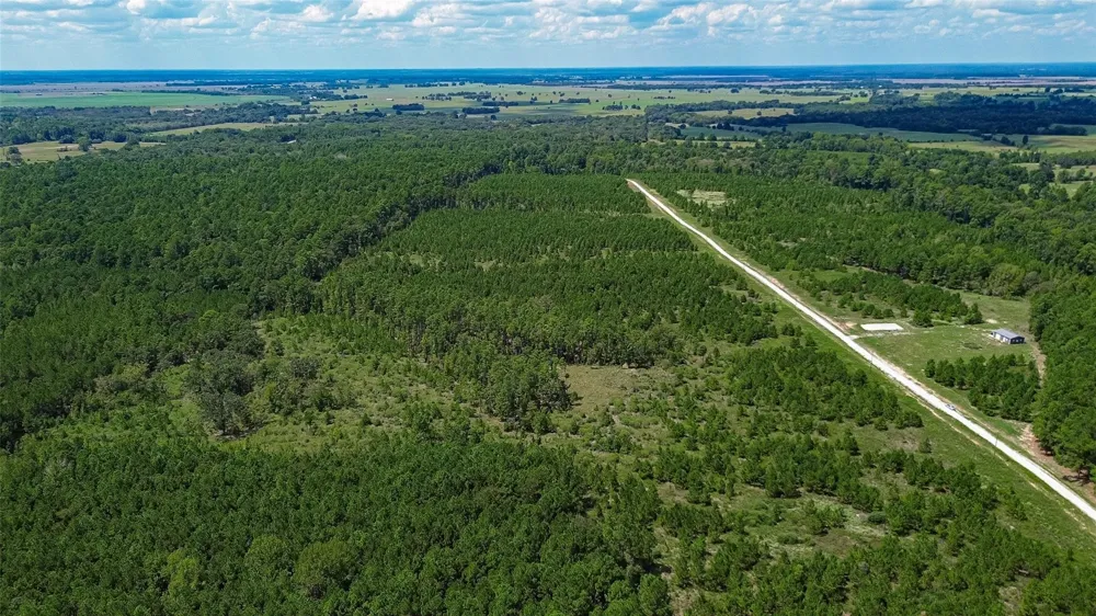 Cherokee Trail Trail Lovelady, TX 75851