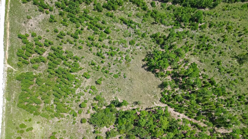 Cherokee Trail Trail Lovelady, TX 75851