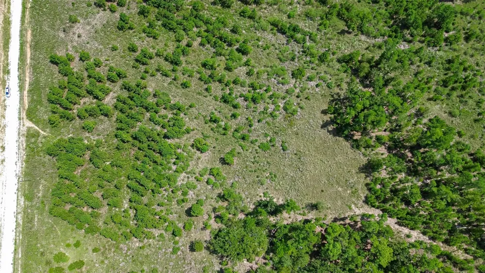 Cherokee Trail Trail Lovelady, TX 75851