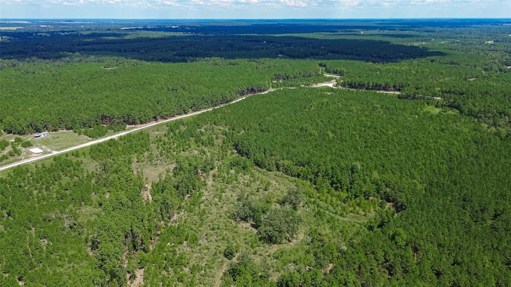 Cherokee Trail Trail Lovelady, TX 75851