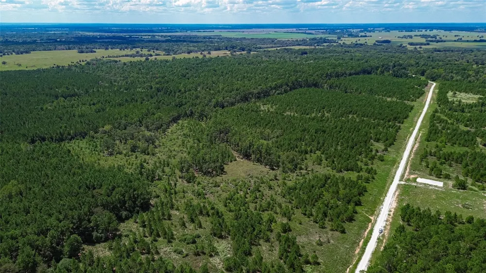 Cherokee Trail Trail Lovelady, TX 75851