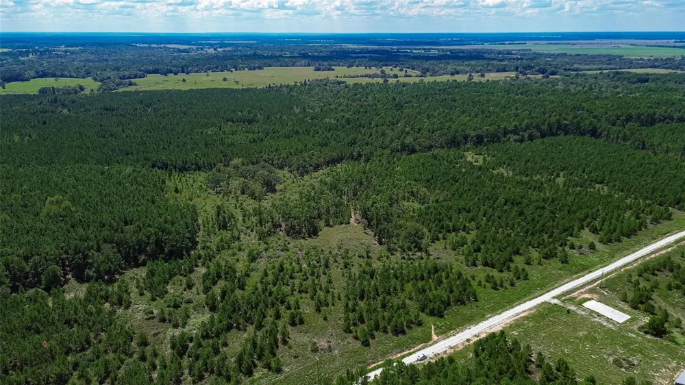 Cherokee Trail Trail Lovelady, TX 75851