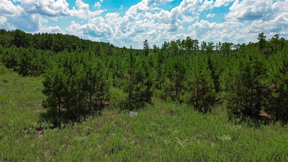 Cherokee Trail Trail Lovelady, TX 75851
