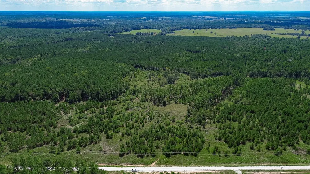 Cherokee Trail Trail Lovelady, TX 75851