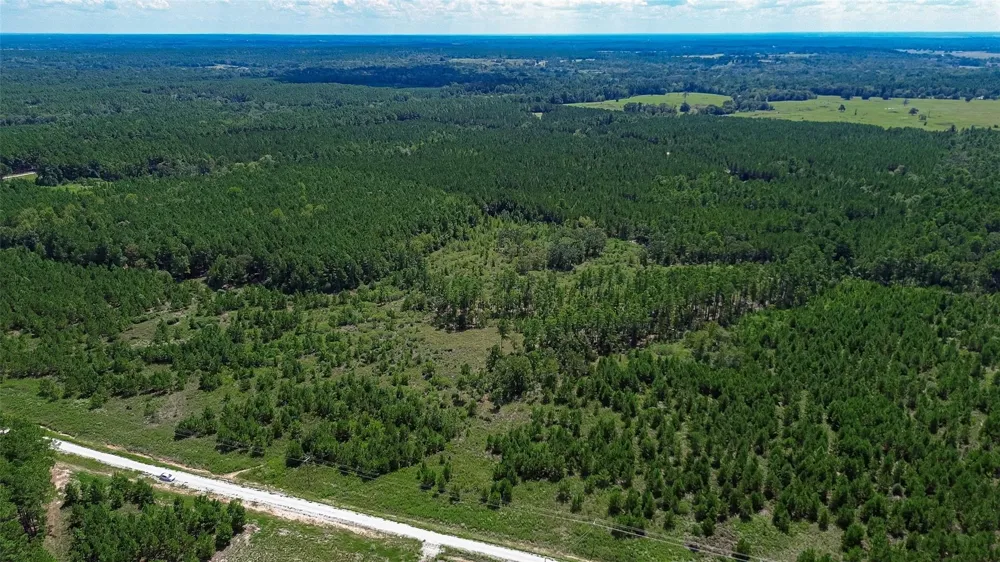 Cherokee Trail Trail Lovelady, TX 75851