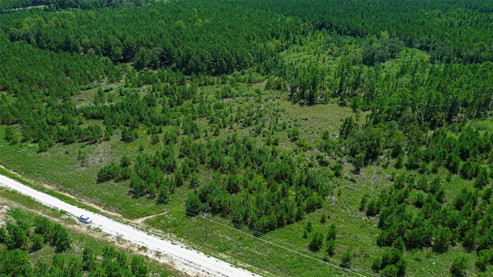 Cherokee Trail Trail Lovelady, TX 75851