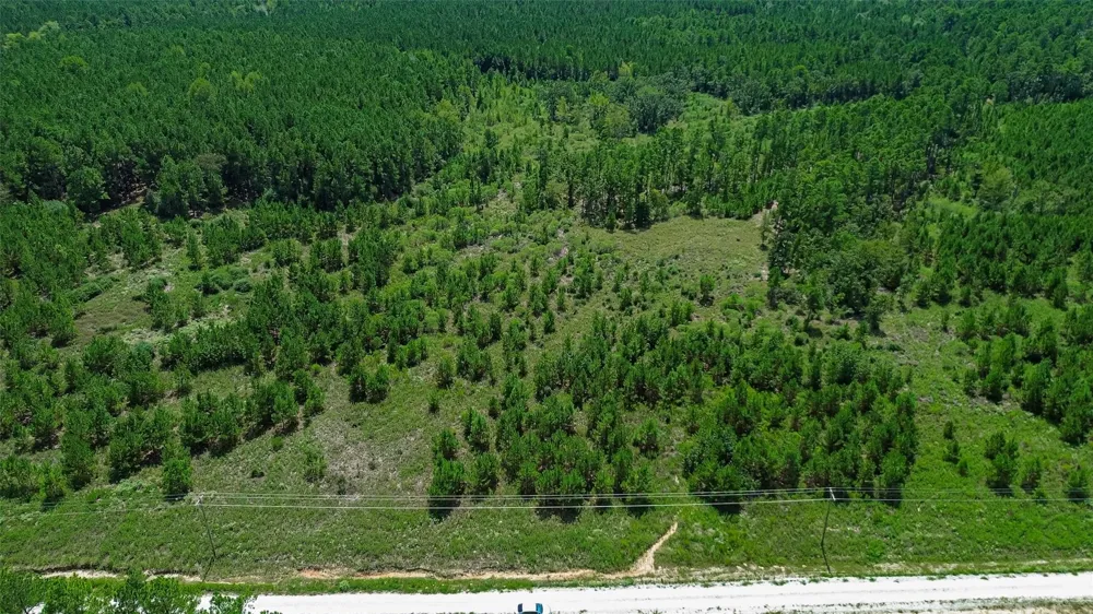Cherokee Trail Trail Lovelady, TX 75851