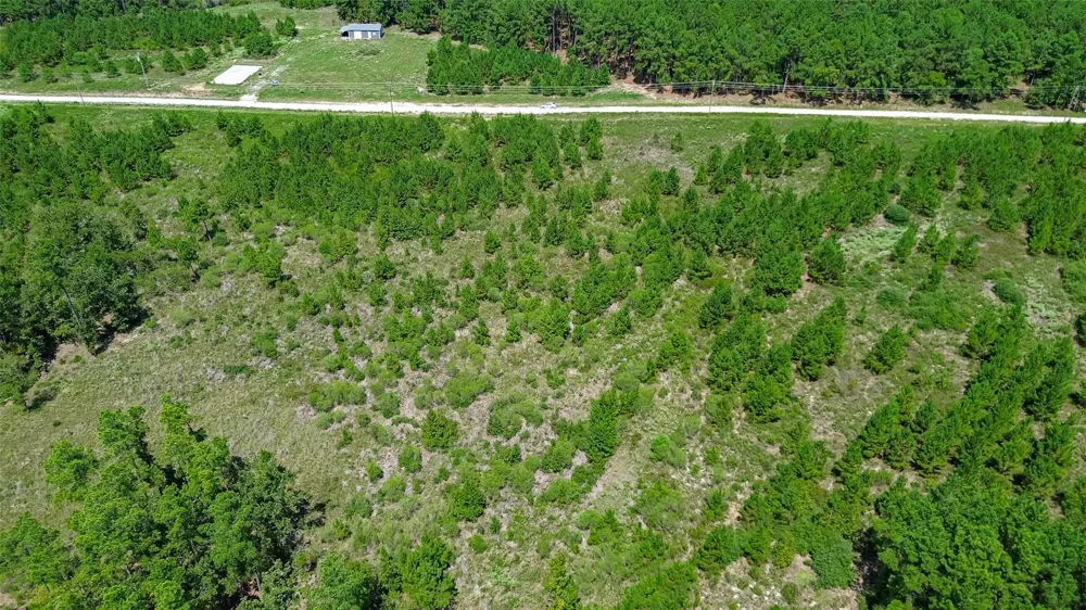 Cherokee Trail Trail Lovelady, TX 75851