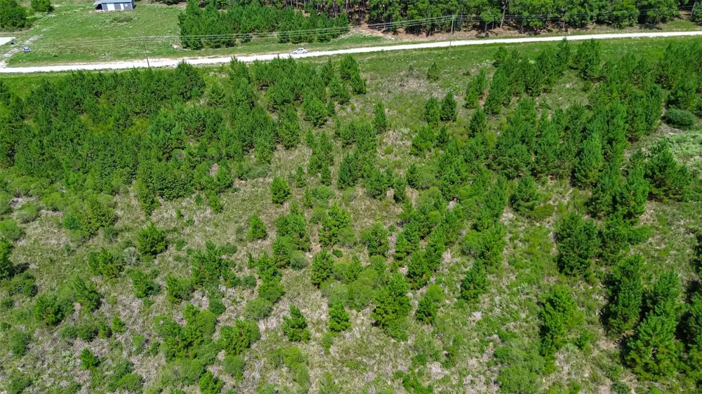 Cherokee Trail Trail Lovelady, TX 75851