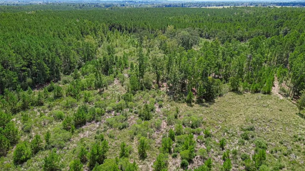 Cherokee Trail Trail Lovelady, TX 75851