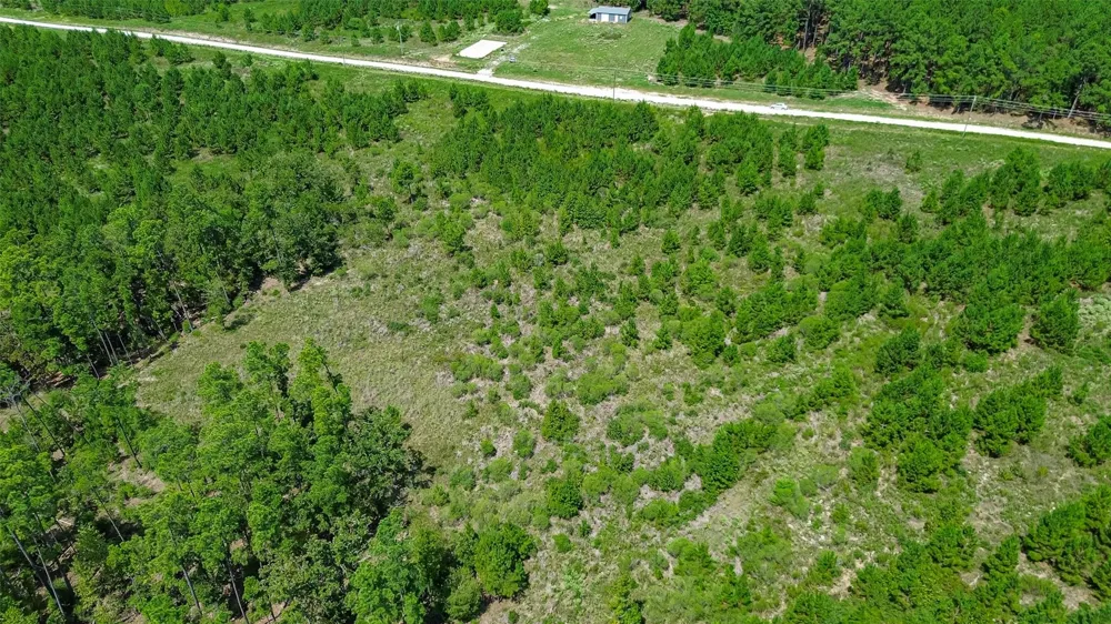 Cherokee Trail Trail Lovelady, TX 75851
