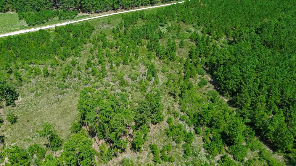 Cherokee Trail Trail Lovelady, TX 75851