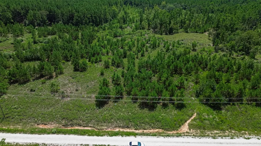 Cherokee Trail Trail Lovelady, TX 75851