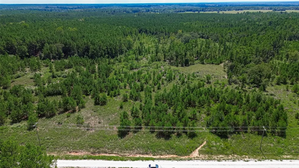 Cherokee Trail Trail Lovelady, TX 75851