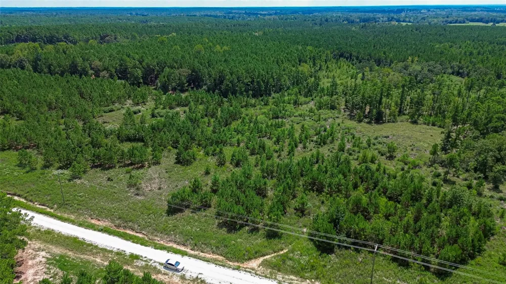 Cherokee Trail Trail Lovelady, TX 75851