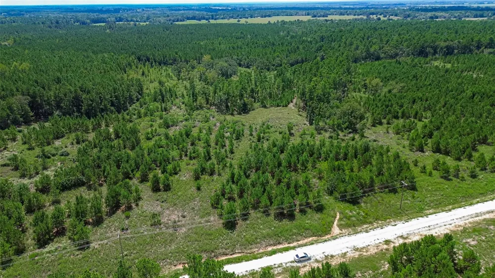 Cherokee Trail Trail Lovelady, TX 75851