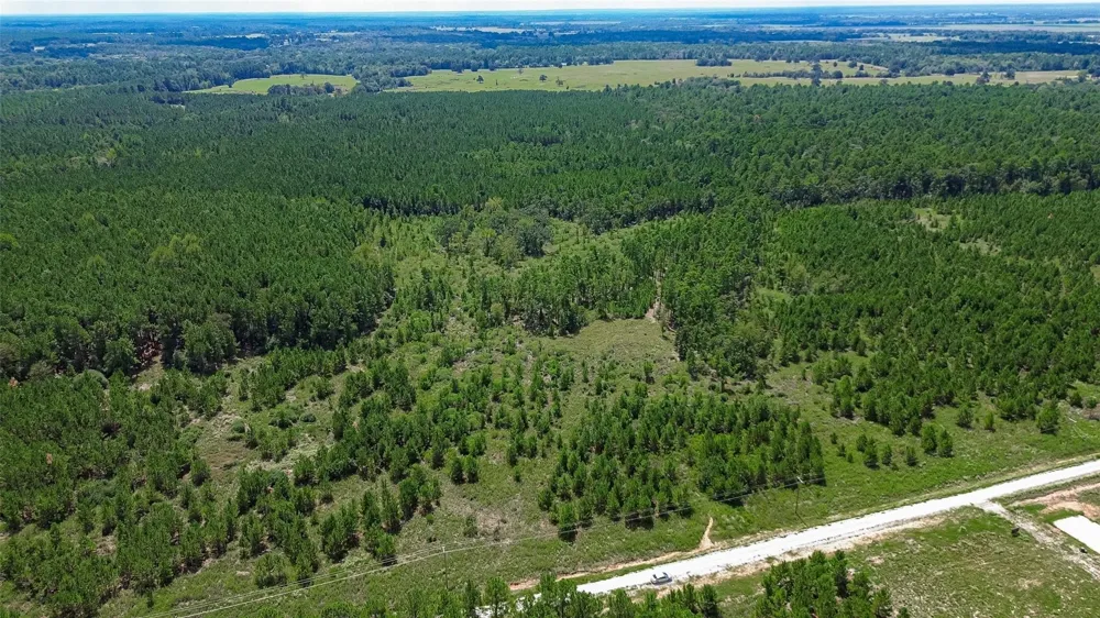 Cherokee Trail Trail Lovelady, TX 75851