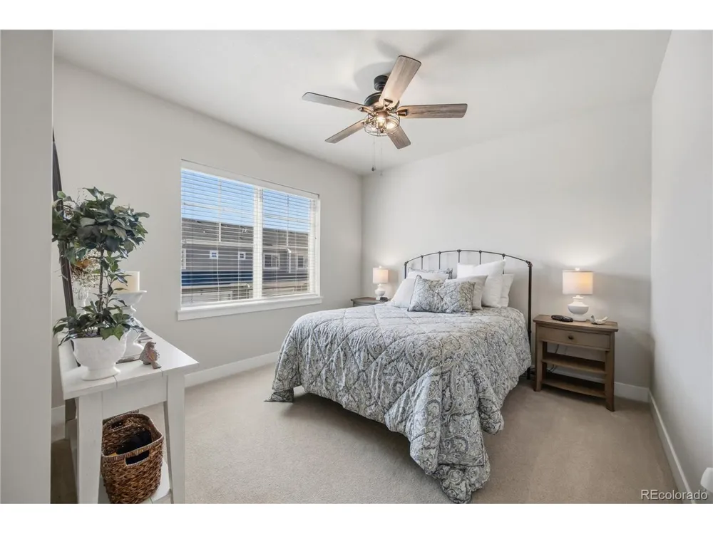 2162 Montauk Lane #3 Windsor, CO 80550