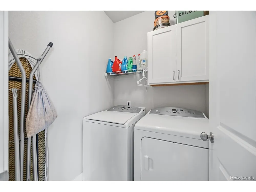 2162 Montauk Lane #3 Windsor, CO 80550