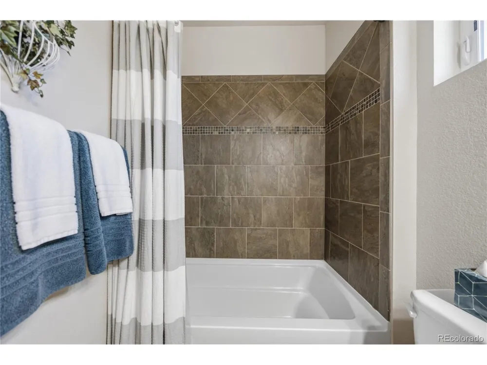 2162 Montauk Lane #3 Windsor, CO 80550