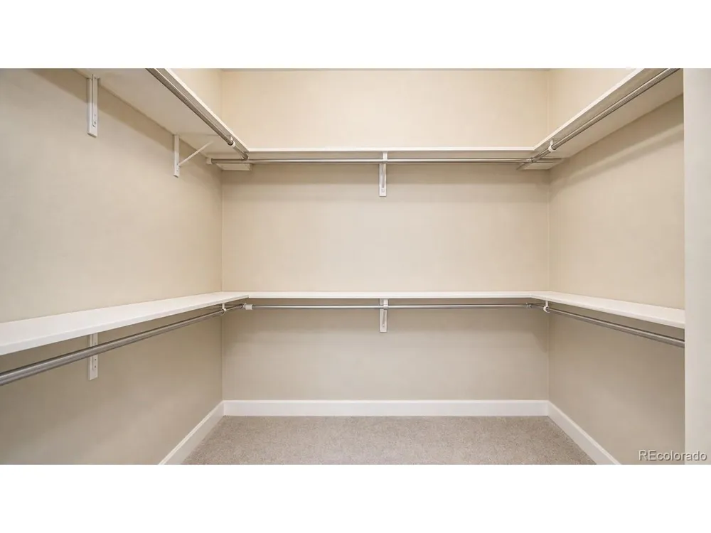2162 Montauk Lane #3 Windsor, CO 80550