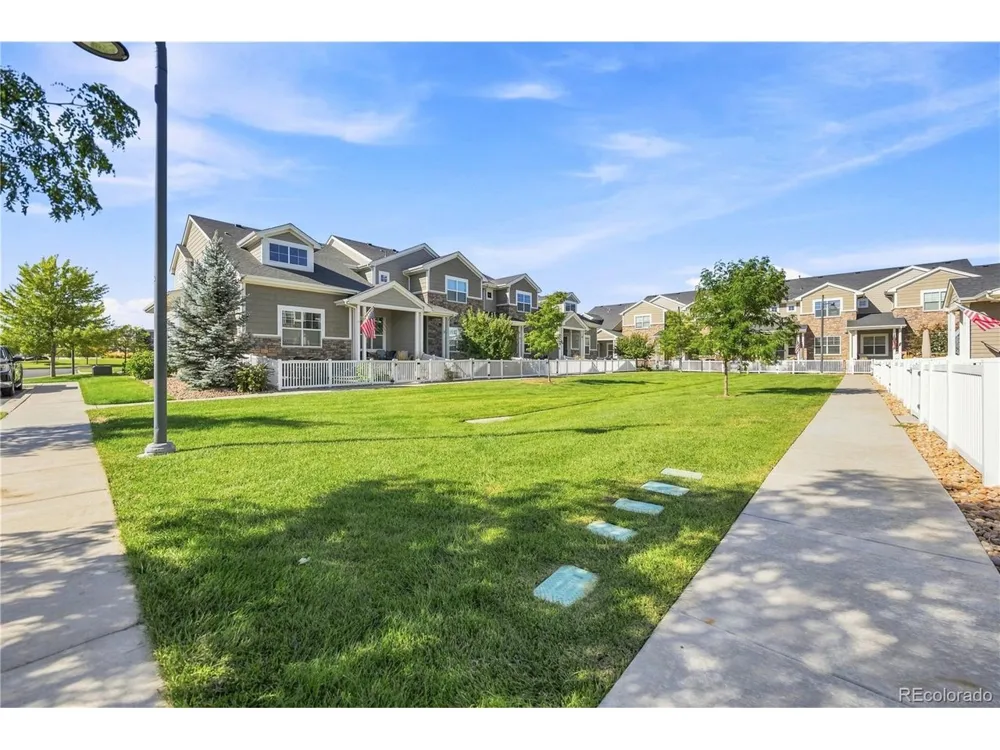 2162 Montauk Lane #3 Windsor, CO 80550