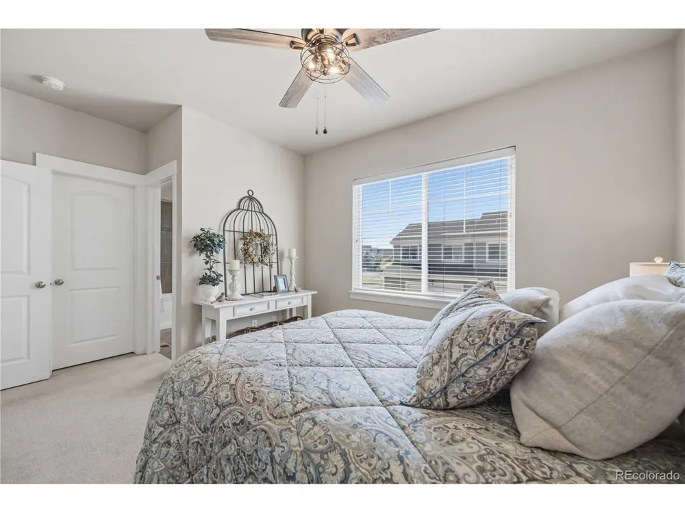 2162 Montauk Lane #3 Windsor, CO 80550