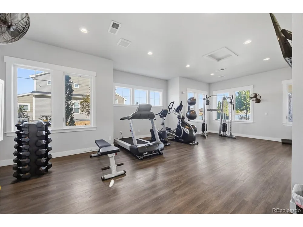2162 Montauk Lane #3 Windsor, CO 80550