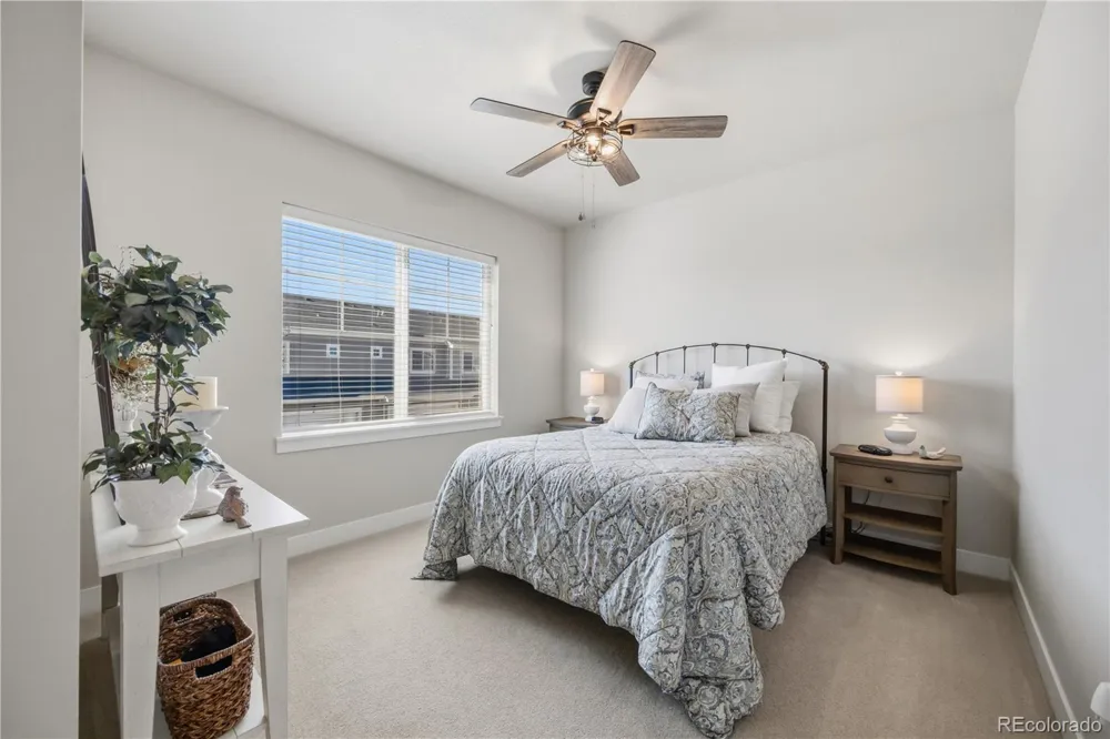 2162 Montauk Lane #3 Windsor, CO 80550
