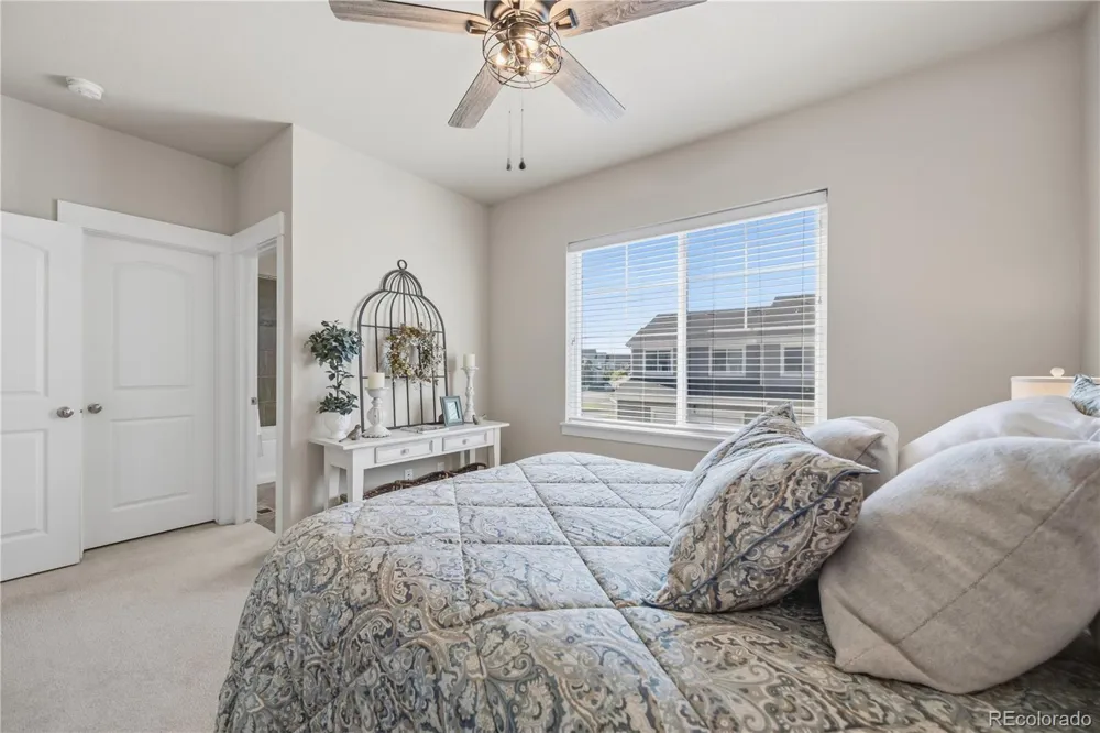 2162 Montauk Lane #3 Windsor, CO 80550