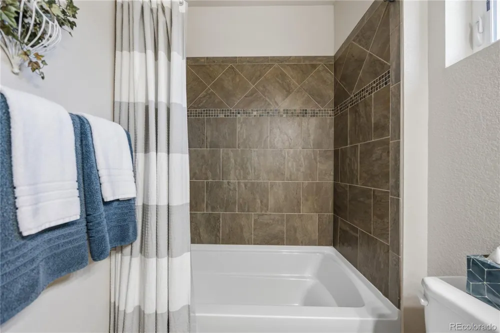 2162 Montauk Lane #3 Windsor, CO 80550