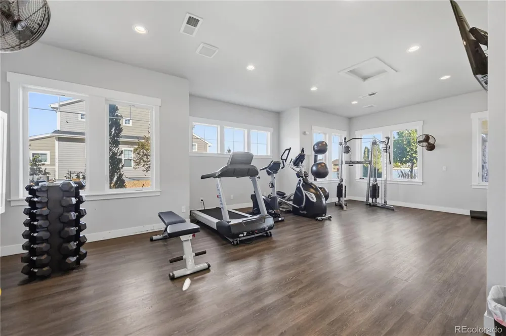 2162 Montauk Lane #3 Windsor, CO 80550
