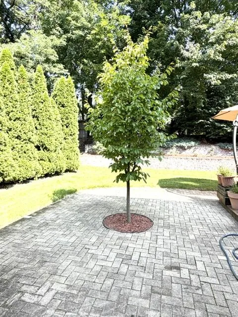 2147 Wooded Way Lincoln Charter Township, MI 49127