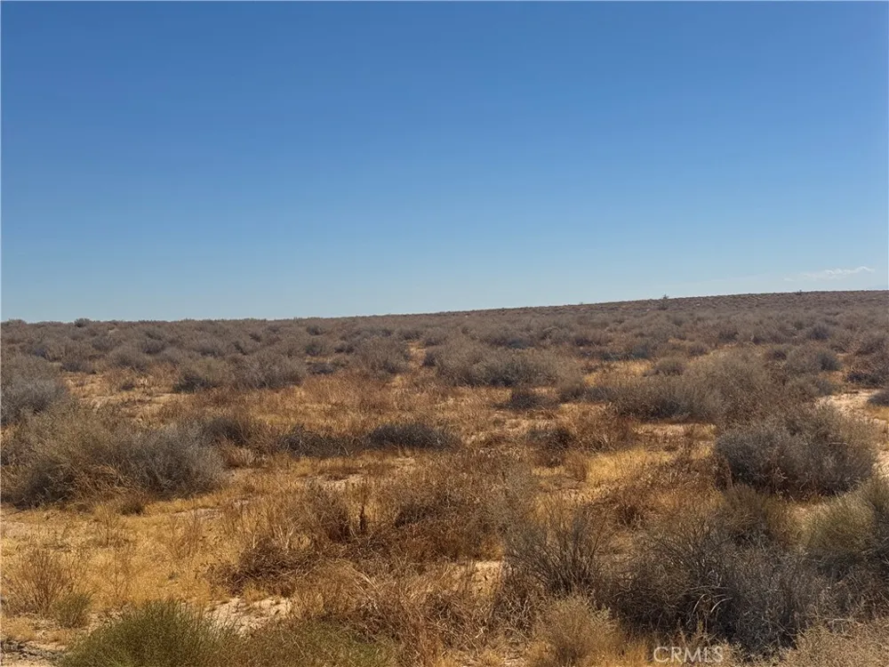 Penny lane California City, CA 93504