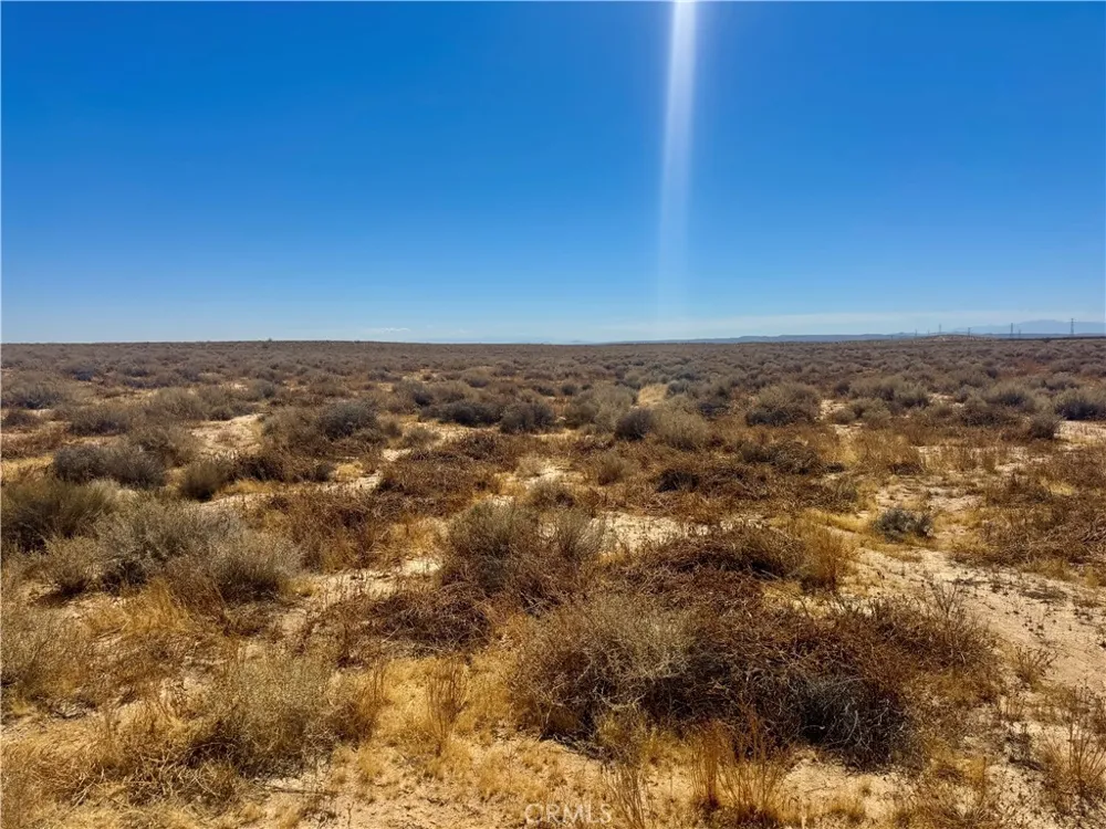 Penny lane California City, CA 93504