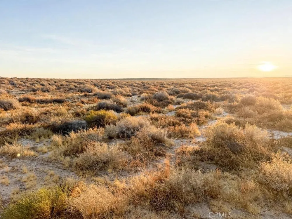 Penny lane California City, CA 93504