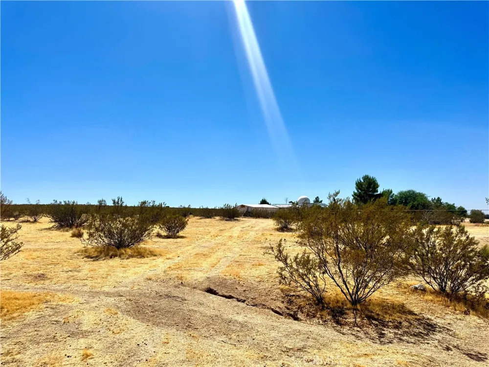 Penny lane California City, CA 93504
