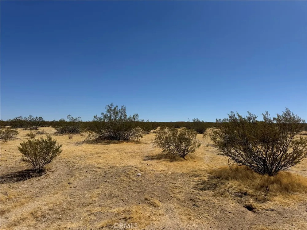 Penny lane California City, CA 93504