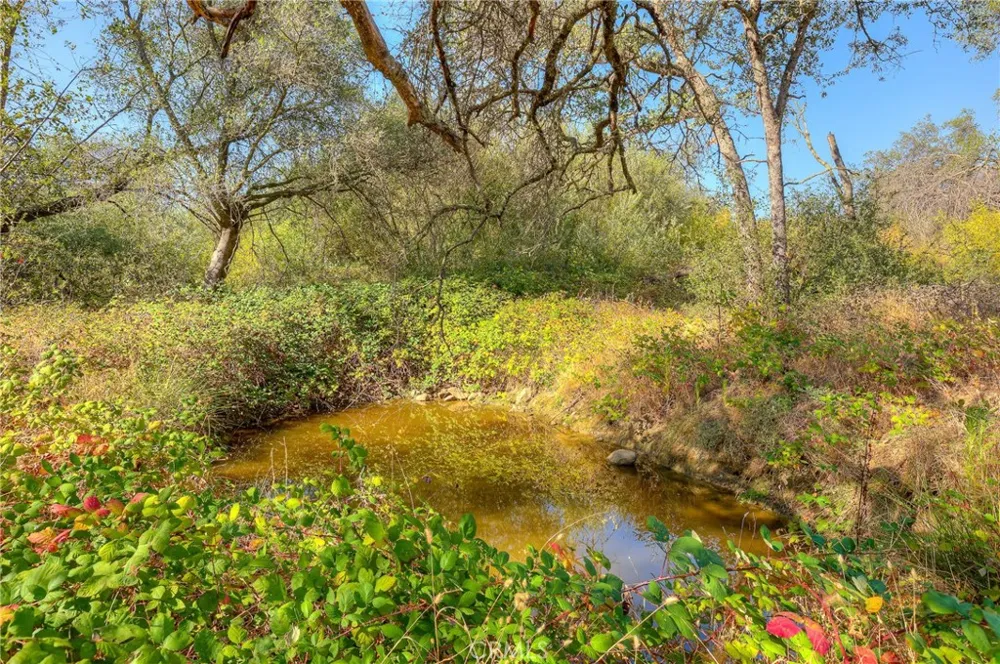 71 Webb Creek Bangor, CA 95914