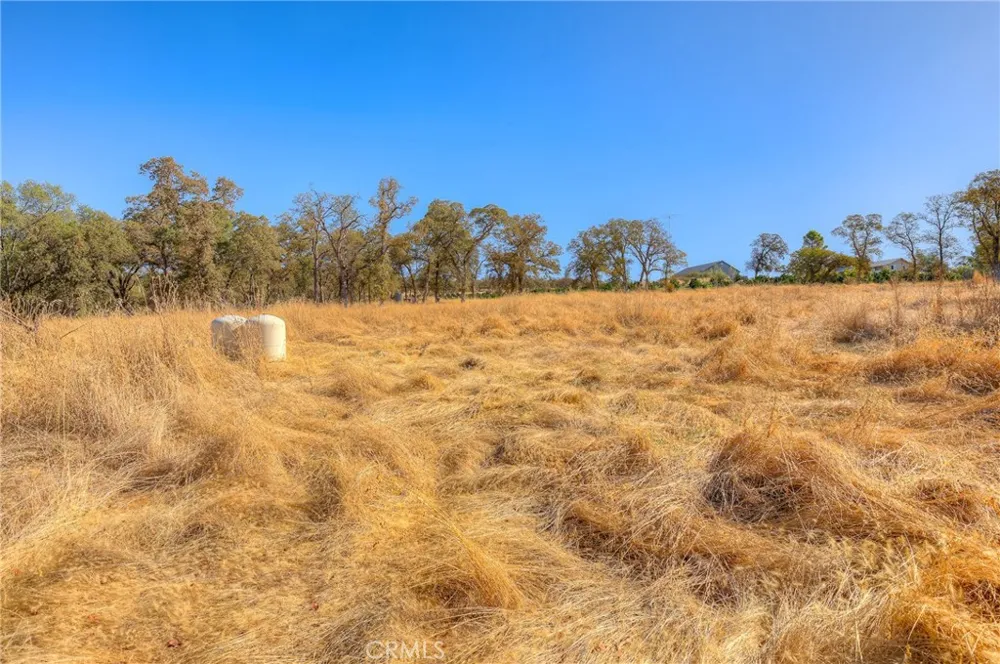 71 Webb Creek Bangor, CA 95914