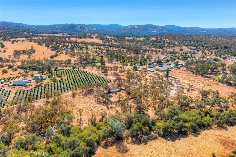 71 Webb Creek Bangor, CA 95914