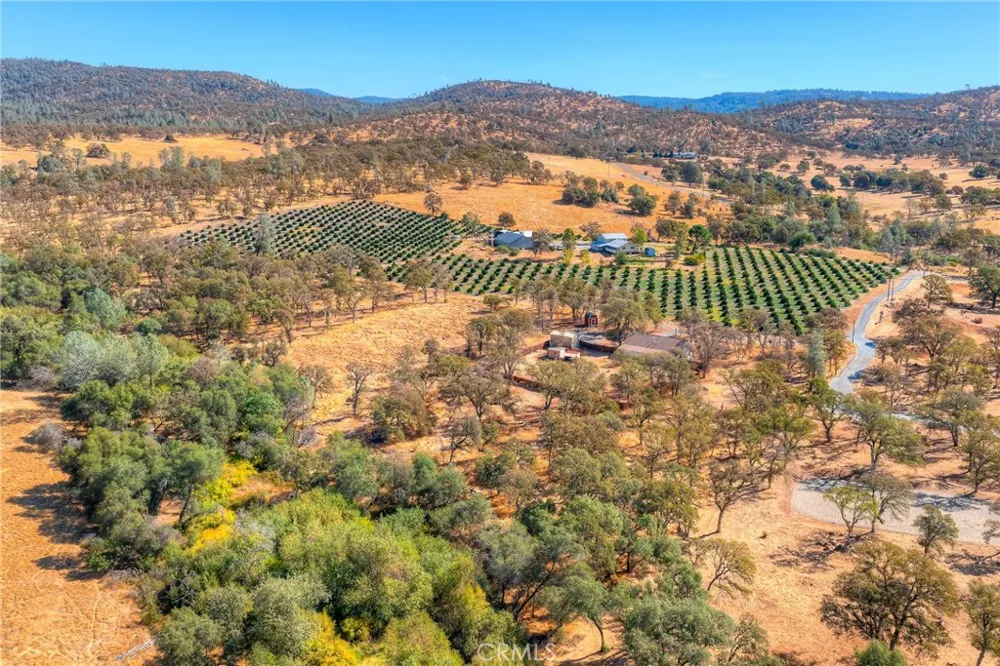 71 Webb Creek Bangor, CA 95914