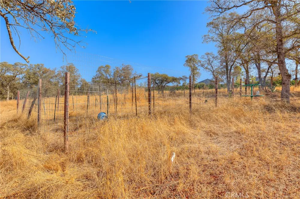 71 Webb Creek Bangor, CA 95914