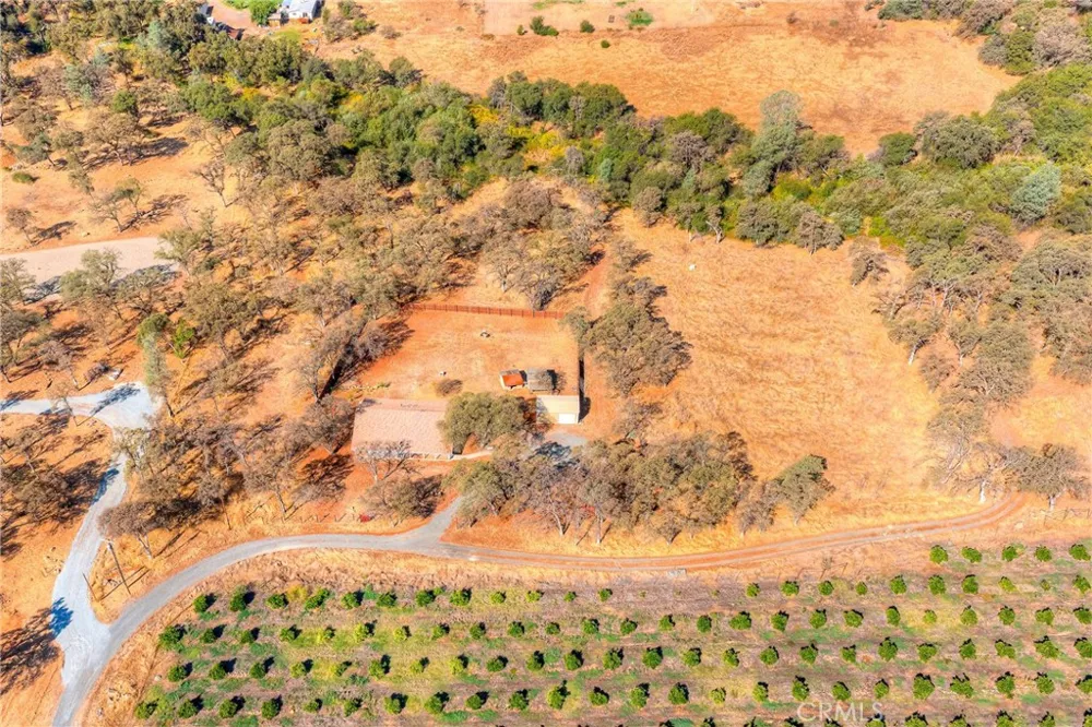 71 Webb Creek Bangor, CA 95914