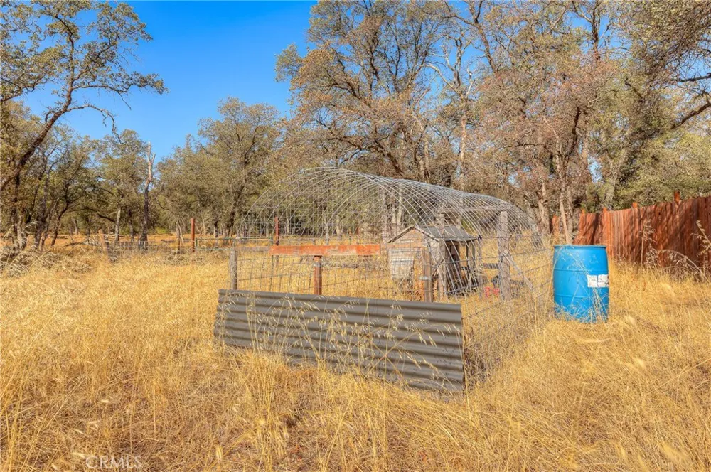 71 Webb Creek Bangor, CA 95914