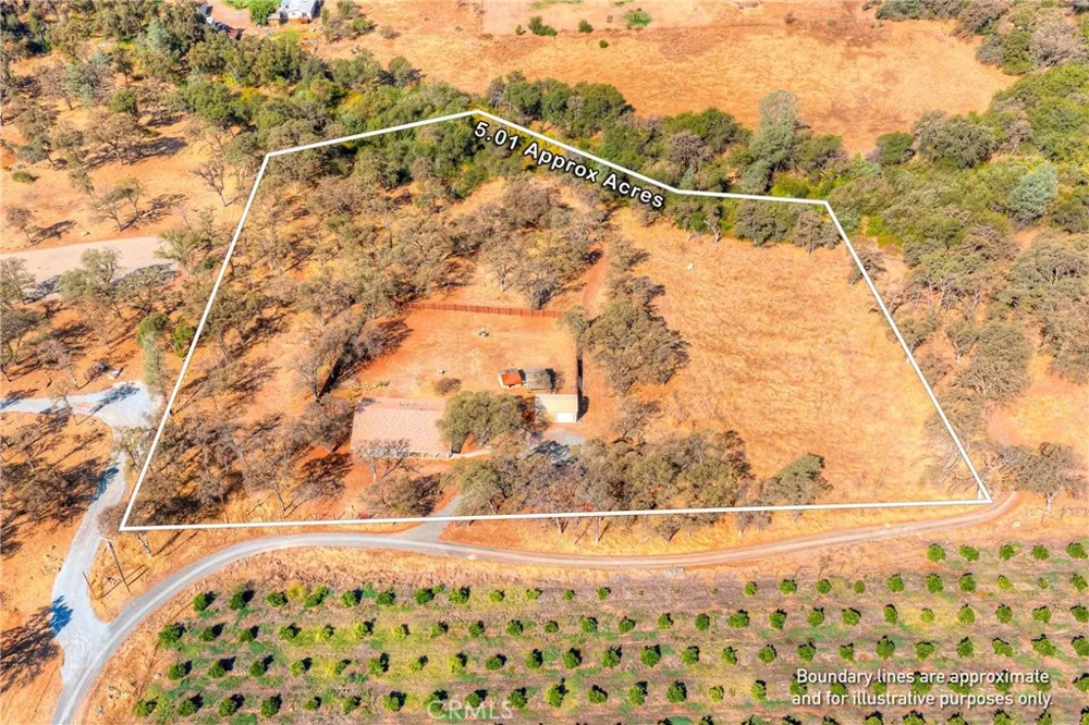 71 Webb Creek Bangor, CA 95914
