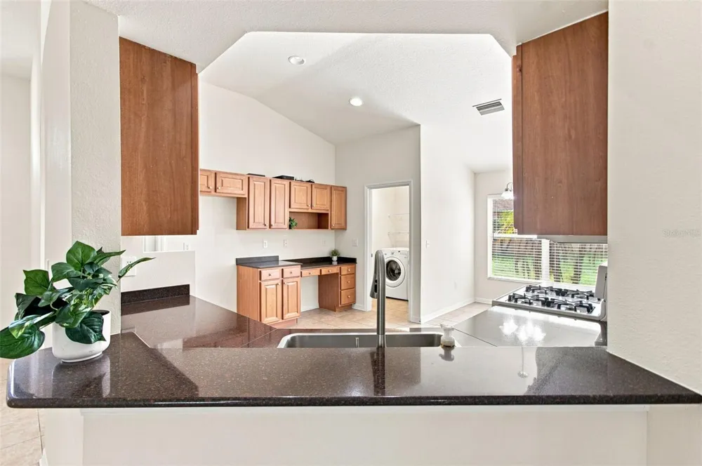 24132 DENALI COURT Lutz, FL 33559